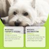 Yegbong Dog Care Drops, A Comprehensive Healthy Dietary Supplement To Enhance Nutrition And Rejuvenate Dogs